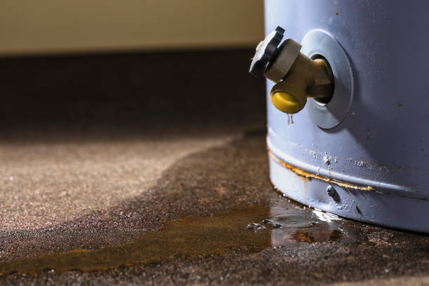 Water damage restoration mold remediation in AL