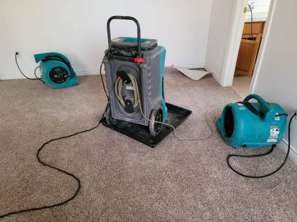 Best Water damage contractors near me  in Helena, AL