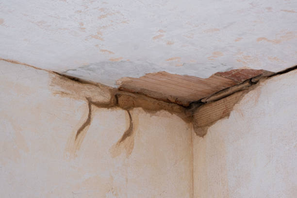Best Water damage cleanup near me  in Helena, AL