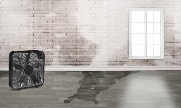 Fire Damage Restoration in AL