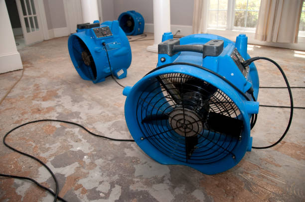 Best Flood damage cleanup  in Helena, AL