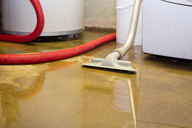 Best Water damage restoration process  in Helena, AL