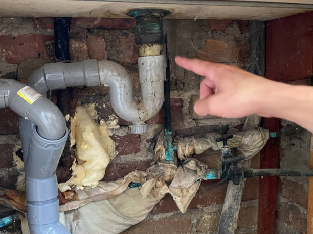 Best Local water damage restoration  in Helena, AL
