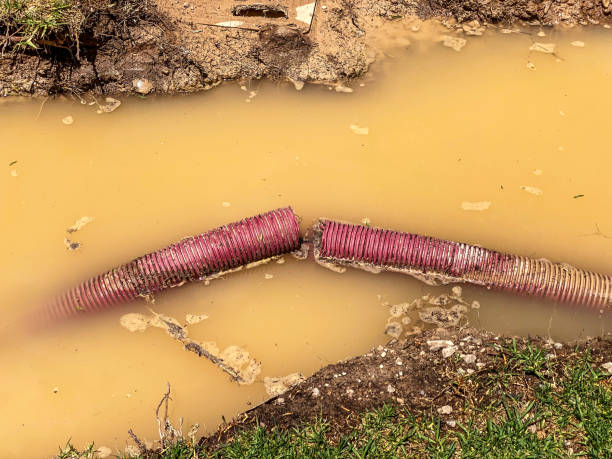 Best Carpet water damage restoration  in Helena, AL