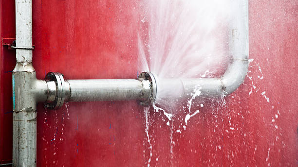 Best Flooded house restoration  in Helena, AL